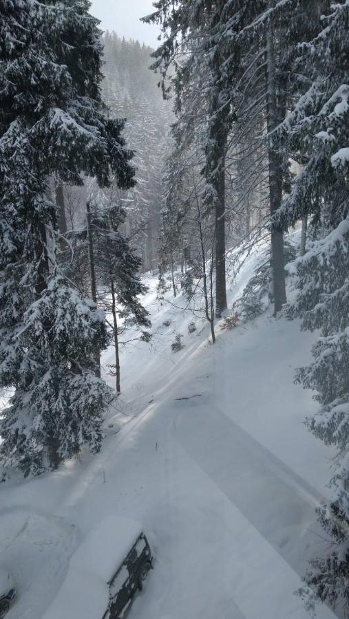 Ski & Holiday Apartments In Pamporovo Esterno foto