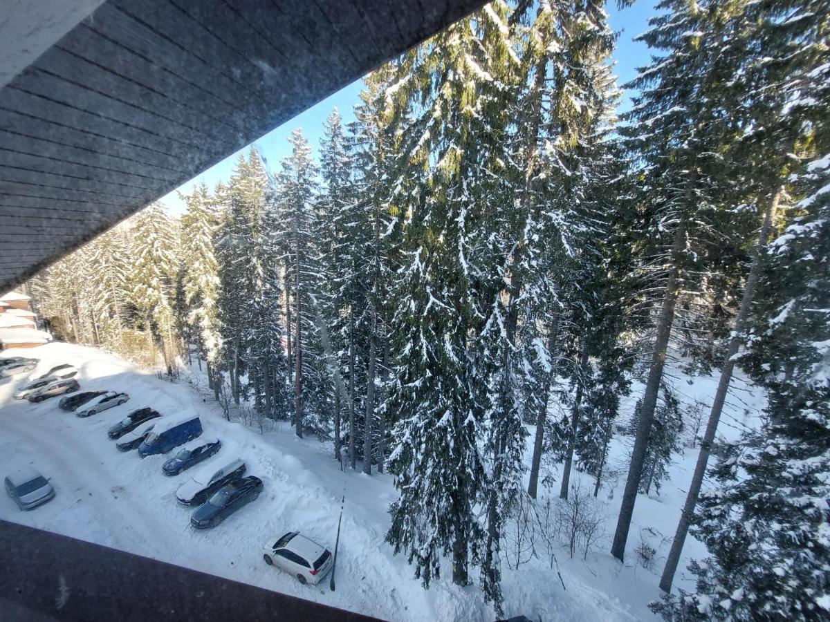 Ski & Holiday Apartments In Pamporovo Esterno foto