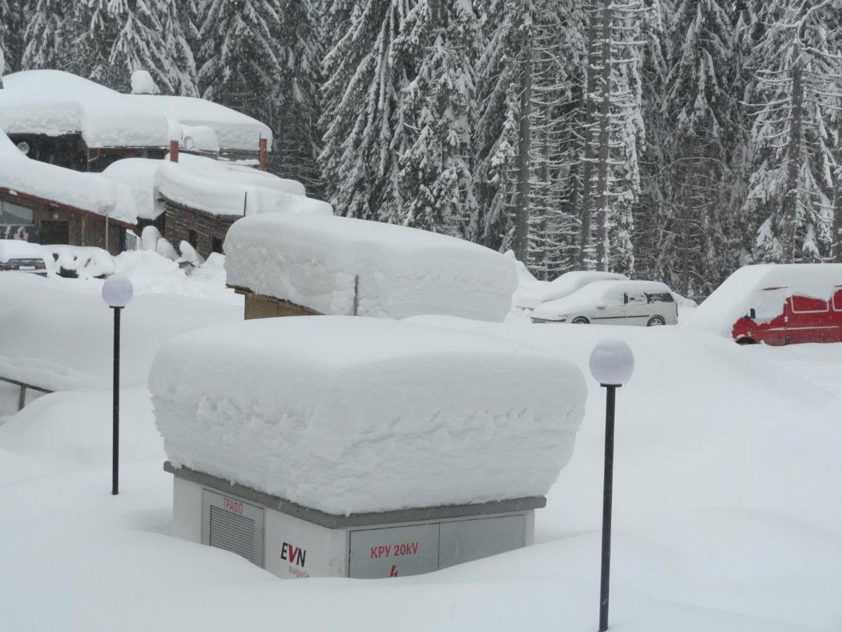 Ski & Holiday Apartments In Pamporovo Esterno foto