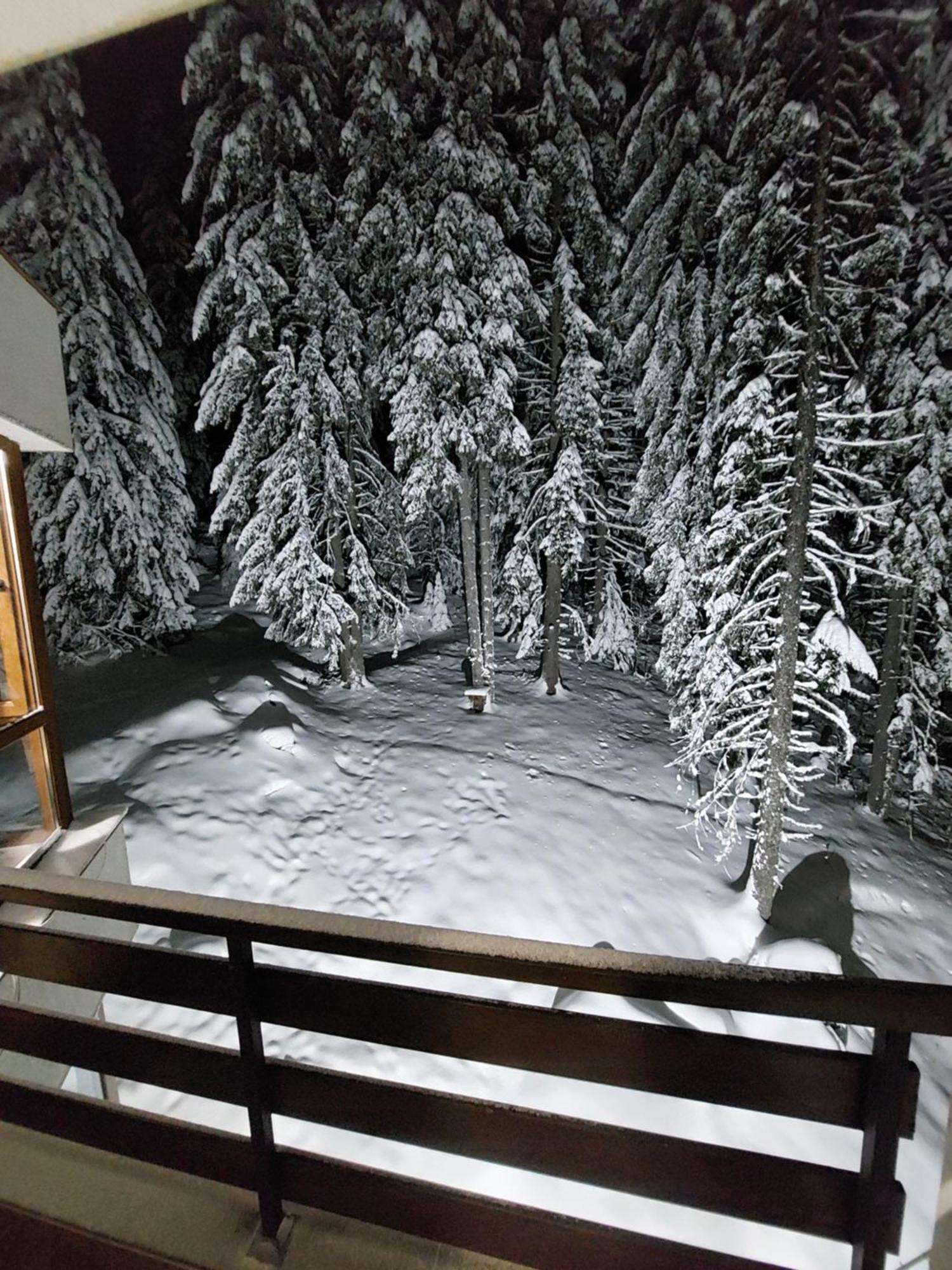 Ski & Holiday Apartments In Pamporovo Esterno foto